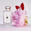 Peony & Blush Suede Cologne