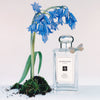 Wild Bluebell Cologne